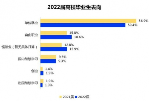 2022大學(xué)生就業(yè)力調(diào)研報告