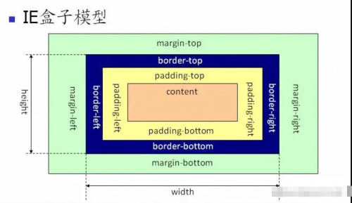 對盒模型的理解1